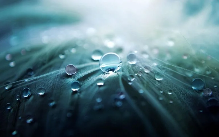 Jesús es el agua viva que necesitamos en nuestras vidas