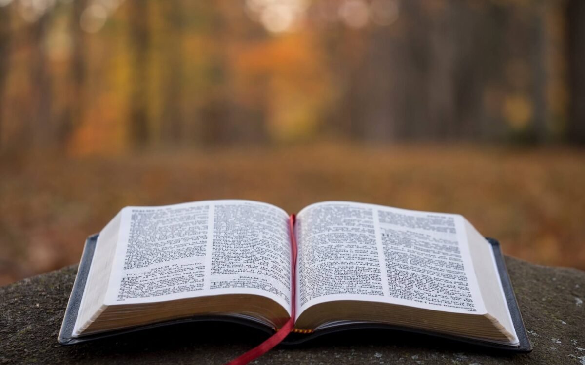 La Biblia y Las Escrituras