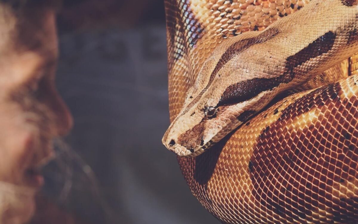 El principe del mal es la serpiente antigua