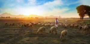 El buen pastor y sus ovejas